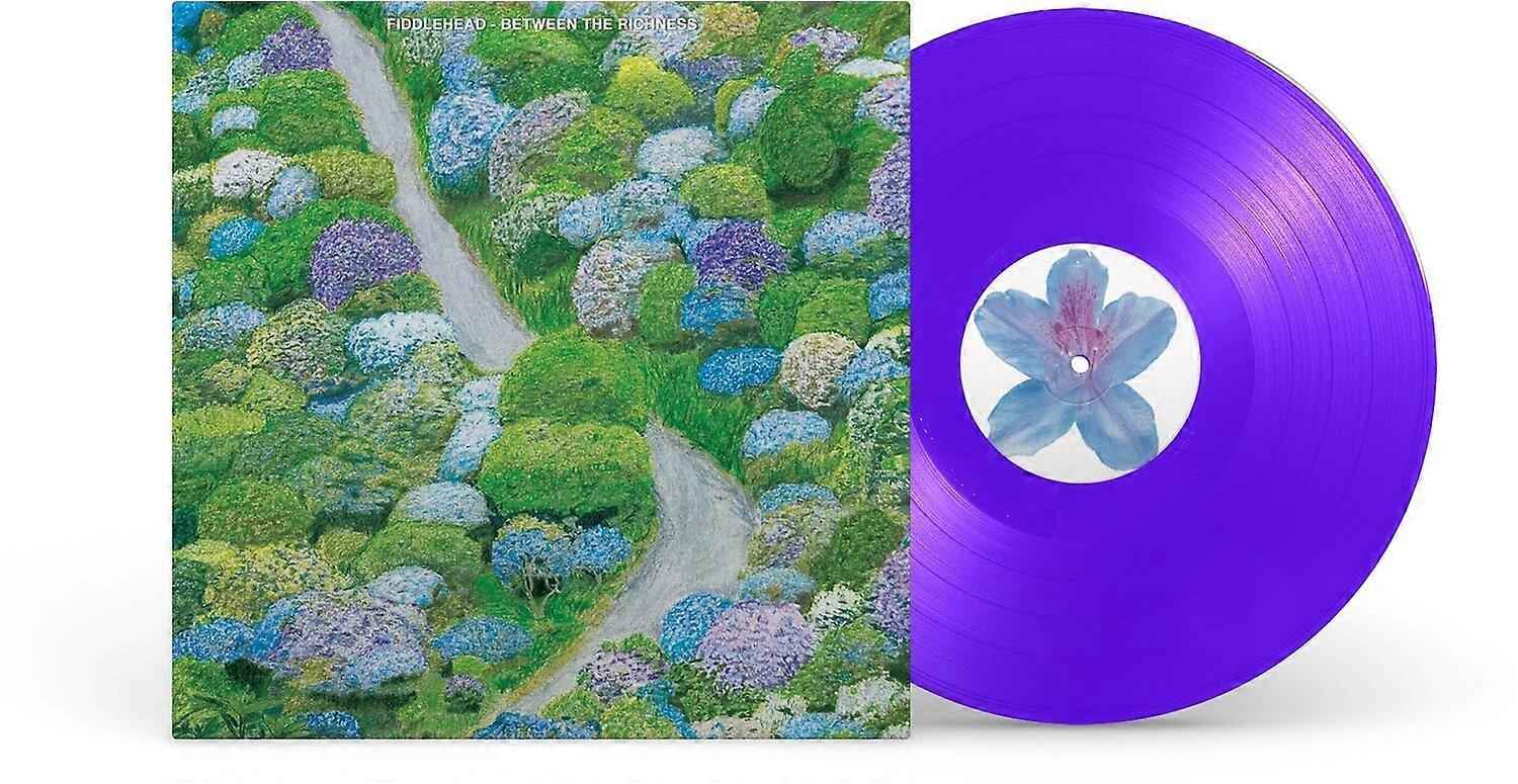 FIDDLEHEAD - BETWEEN THE RICHNESS - VINYLE VIOLET