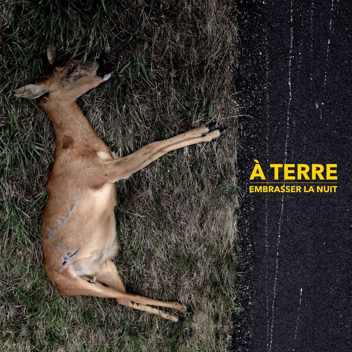 À TERRE - EMBRASER LA NUIT